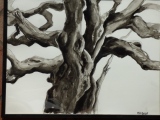 marie-christine-besset - Arbres peintures à l'huile