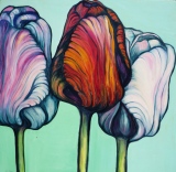 marie-christine-besset - Tulipes 2010