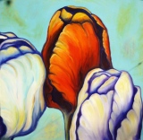 marie-christine-besset - Tulipes 2010