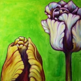 marie-christine-besset - Tulipes 2010