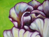 marie-christine-besset - Tulipes 2010